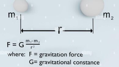 gravity equation